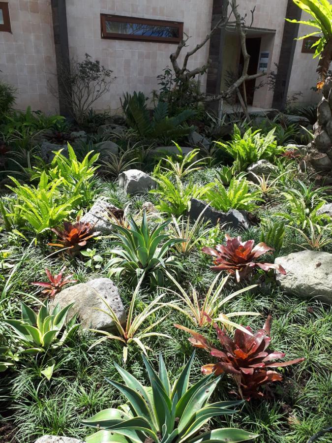 Krisna House Hotell Ubud Exteriör bild